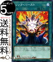 遊戯王カード リンク・バースト ノ