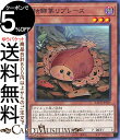 遊戯王カード 枯鰈葉リプレース ノーマル BATTLE OF CHAOS BACH Yugioh! | 遊戯王 カード バトル・オブ・カオス 効果モンスター 闇...