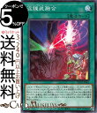 遊戯王カード 混錬装融合 BLAZING VORTEX BLVO Yugioh 遊戯王 カード ブレイジング ボルテックス パラメタルフォーゼ フュージョン フィールド魔法 ノーマル