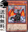 遊戯王カード 黒衣竜アルビオン レ