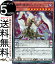 遊戯王カード 捕食植物トリアンティス ノーマル DIMENSION FORCE DIFO Yugioh! | 遊戯王 カード ディメンション・フォース プレデター・プランツ ペンデュラム・効果モンスター 闇属性 植物族 40円
