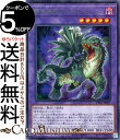 遊戯王カード 捕食植物アンブロメリドゥス レア DIMENSION FORCE DIFO Yugioh! | 遊戯王 カード ディメンション・フォース プレデター・プランツ 融合・効果モンスター 闇属性 植物族 レア