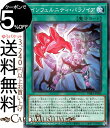 遊戯王カード インフェルニティ パラノイア(ノーマル) PHANTOM RAGE PHRA Yugioh 遊戯王 ファントム レイジ カード 通常魔法 ノーマル