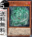 遊戯王カード 天盃龍ファドラ(ノー