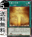 遊戯王カード 王墓の石壁(ノーマル) PHANTOM NIGHTMARE(PHNI) | ファントム・ナイトメア フィールド魔法 ノーマル