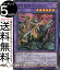 遊戯王カード 背信聖徒シルヴィア(スーパーレア) レイジ・オブ・ジ・アビス(ROTA) | 融合・効果モンスター 闇属性 幻想魔族 スーパー レア 140円
