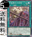 遊戯王カード 百鬼羅刹大収監(ノーマル) レイジ・オブ・ジ・アビス(ROTA) | 速攻魔法 ノーマル(3)