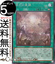 遊戯王カード 原石の皇脈(シークレットレア) レイジ・オブ・ジ・アビス(ROTA) | 永続魔法 シークレット レア