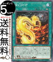 遊戯王カード 燦幻封炉(ノーマル) レイジ・オブ・ジ・アビス(ROTA) | 永続魔法 ノーマル