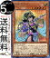遊戯王カード 守護神官マナ(シークレットレア) 20th ANNIVERSARY LEGEND COLLECTION 20TH Yugioh! | 遊戯王 アニバーサリー レジェンド コレクション カード 効果モンスター 光属性 魔法使い族 シークレット レア シク 670円
