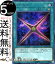 ͷ Sin Cross(åȥ쥢) 20th ANNIVERSARY LEGEND COLLECTION 20TH Yugioh! | ͷ ˥С꡼ 쥸 쥯    ®ˡ å 쥢 