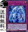 ͷ ꥹ롦Х(åȥ쥢) 20th ANNIVERSARY LEGEND COLLECTION 20TH Yugioh! | ͷ ˥С꡼ 쥸 쥯  ³ å 쥢 