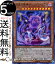 ͷ Źॾ󡦥Υ(ѡѥ쥢) 20th ANNIVERSARY LEGEND COLLECTION 20TH Yugioh! | ͷ ˥С꡼ 쥸 쥯  ̥󥹥 ° ² ѡѥ 쥢