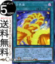 遊戯王カード 方界業(スーパーパラレルレア) 20th ANNIVERSARY LEGEND COLLECTION 20TH Yugioh 遊戯王 アニバーサリー レジェンド コレクション カード カルマ 永続魔法 スーパーパラレル レア