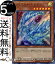 ͷ ꥹ롦ɥ饴(ѡѥ쥢) 20th ANNIVERSARY LEGEND COLLECTION 20TH Yugioh! | ͷ ˥С꡼ 쥸 쥯  ̥󥹥 ° ɥ饴² ѡѥ 쥢