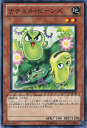 遊戯王カード ナチュル・ビーンズ デュエリスト・レボリューション DREV YuGiOh! | 遊戯王 カード ナチュル ビーンズ 地属性 植物族