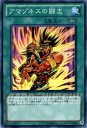 遊戯王カード アマゾネスの闘志 デュエリスト・レボリューション DREV YuGiOh! | 遊戯王 カード アマゾネス 闘志 永続魔法