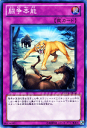 遊戯王カード 闘争本能 デュエリスト・レボリューション DREV YuGiOh! | 遊戯王 カード 通常罠