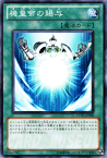 遊戯王カード 機皇帝の賜与 エクストリーム・ビクトリー EXVC YuGiOh! | 遊戯王 カード 機皇 通常魔法