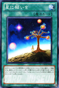 遊戯王カード 星に願いを オーダー・オブ・カオス ORCS YuGiOh! | 遊戯王 カード 通常魔法