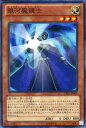 遊戯王カード 銀河魔鏡士 プライマル オリジン PRIO YuGiOh 遊戯王 カード 銀河 ギャラクシー ギャラクシー ミラー セイジ 光属性 魔法使い族