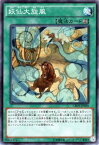 遊戯王カード 妖仙大旋風 クロスオーバー・ソウルズ CROS YuGiOh! | 遊戯王 カード 妖仙獣 永続魔法