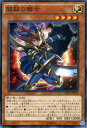 遊戯王カード 開闢の騎士 ディメンション オブ カオス DOCS YuGiOh 遊戯王 カード カオス ソルジャー カオスソルジャー 光属性 戦士族