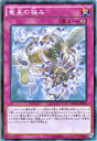 遊戯王カード 竜星の極み ザ・デュエリスト・アドベント DUEA YuGiOh! | 遊戯王 カード 竜星 永続罠