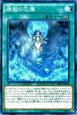 遊戯王カード 煉獄の氾爛 ザ シークレット オブ エボリューション SECE YuGiOh! | 遊戯王 カード 煉獄 インフェルノイド フィールド魔法