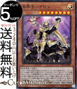 遊戯王カード 溟界王−アロン スーパーレア エンシェント・ガーディアンズ DBAG Yugioh! | 遊戯王 カード デッキビルドパック 効果モンスター 光属性 爬虫類族 スーパー レア