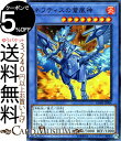 遊戯王カード ネフティスの蒼凰神(スーパーレア) ヒドゥン サモナーズDBHS Yugioh 遊戯王 カード 儀式 効果モンスター 炎属性 鳥獣族 スーパー レア