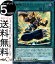 ͷ 䵴ե˥åۡ ȥ쥢 LINK VRAINS DUELIST SETLVDS Yugioh! | ͷ  󥯥쥤󥺥ǥ奨ꥹȥå ̾ˡ ȥ 쥢