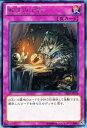 遊戯王カード 転生の予言 レア デュエリスト エディション Vol.1 DE01 YuGiOh 遊戯王 カード レア 通常罠