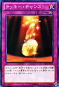 遊戯王カード ラッキー チャンス デュエリスト エディション Vol.2 DE02 YuGiOh 遊戯王 カード ラッキー チャンス 永続罠