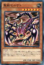 遊戯王カード 聖獣セルケト デュエル パック 王の記憶 編 DP17 YuGiOh 遊戯王 デュエリストパック カード 聖獣 セルケト 地属性 天使族