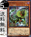 遊戯王カード 捕食植物サンデウ キンジー(ノーマル) レジェンドデュエリスト編5 DP22 Yugioh 遊戯王 カード デュエリストパック プレデター プランツ 効果モンスター 闇属性 植物族 ノーマル