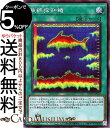 遊戯王カード 魚群探知機 シークレットレア デュエリストパック 深淵のデュエリスト編 DP26 Yugioh! | 遊戯王 カード フィッシュ・ソナー 通常魔法 シークレット レア