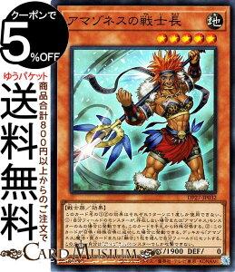 遊戯王カード アマゾネスの戦士長 スーパーレア デュエリストパック 輝石のデュエリスト編 DP27 Yugioh! | 遊戯王 カード 効果モンスター 地属性 戦士族 スーパー レア