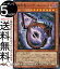 遊戯王カード 無限竜シュヴァルツシルト(スーパーレア) 輝光のデュエリスト編(DP29) | 効果モンスター 闇属性 ドラゴン族 スーパー レア 530円