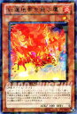 遊戯王カード 紅蓮地帯を飛ぶ鷹 レア デュエル ターミナル ヴァイロン降臨!! DT09 YuGiOh! | 遊戯王 カード ラヴァル 炎属性 鳥獣族 レア