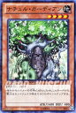 遊戯王カード ナチュル・ガーディアン スーパーレア デュエル ターミナル クロニクルI覚醒の章 DTC1 YuGiOh! | 遊戯王 カード ナチュル ガーディ...