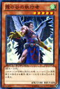 遊戯王カード 霞の谷の執行者 デュエル ターミナル クロニクルI覚醒の章 DTC1 YuGiOh! | 遊戯王 カード 霞の谷 執行者 ミスト・バレー 風属性 雷族