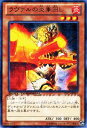 遊戯王カード ラヴァルの炎車回し レア デュエル ターミナル クロニクルIII破滅の章 DTC3 YuGiOh 遊戯王 カード ラヴァル 炎車回し 炎属性 炎族 レア