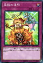 遊戯王カード 霊獣の連契 リンク ヴレインズ パック LVP1 YuGiOh! | 遊戯王 カード 霊獣 通常罠