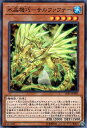 遊戯王カード 水晶機巧 - サルファフナー リンク ヴレインズ パック LVP1 YuGiOh 遊戯王 カード 水晶機巧-サルファフナー クリストロン 水属性 機械族