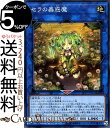 遊戯王カード セラの蟲惑魔(スーパーレア) リンク・ヴレインズ・パック2 LVP2 Yugioh! | 遊戯王 カード リンク・ヴレインズ・パック2 落とし穴 ホール リンク・効果モンスター 地属性 植物族 スーパー レア