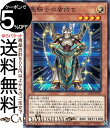 遊戯王カード 聖騎士の盾持ち ノーマル ANIMATION CHRONICLE 2021AC01 Yugioh 遊戯王 カード アニメーション クロニクル 効果モンスター 光属性 戦士族 ノーマル