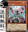 遊戯王カード 混源龍レヴィオニア ノーマルパラレル PRISMATIC ART COLLECTION PAC1 Yugioh 遊戯王 カード プリズマティック アート コレクション 特殊召喚 効果モンスター 闇属性 ドラゴン族 ノーマルパラレル