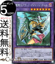 遊戯王カード 竜騎士ブラック マジシャン ガール 新規イラスト シークレットレア PRISMATIC ART COLLECTION PAC1 Yugioh 遊戯王 カード プリズマティック アート コレクション 融合 効果モンスター 闇属性 ドラゴン族 シークレット レア