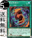 遊戯王カード 真紅眼融合 シークレットレア PRISMATIC ART COLLECTION PAC1 Yugioh 遊戯王 カード プリズマティック アート コレクション 通常魔法 シークレット レア